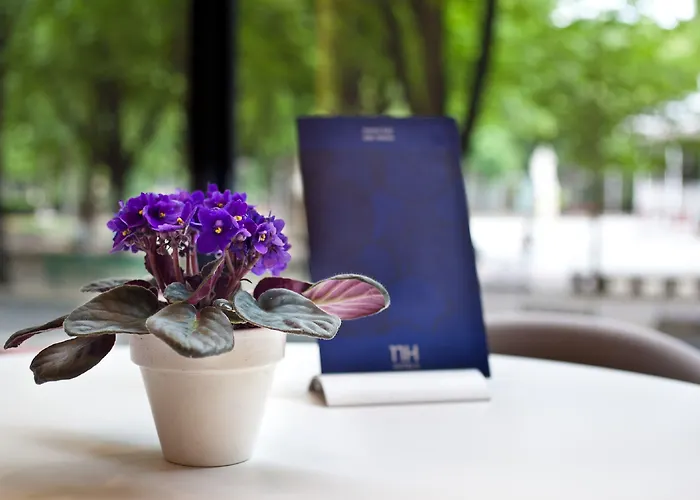 Nh Canciller Ayala 4*