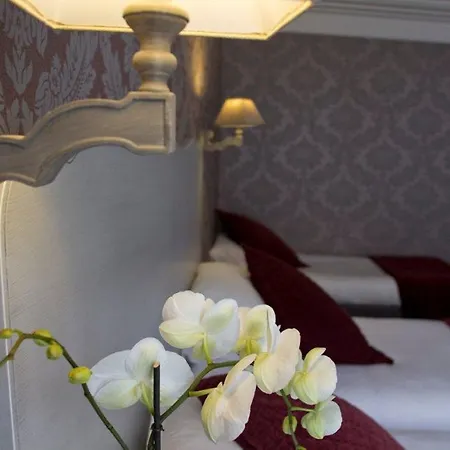 Nh カンシジェール ビトリア